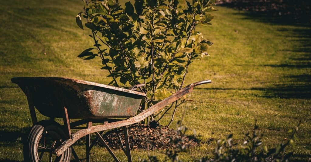 17+ Best Home Improvement & Gardening Courses on Udemy That Guide Real DIY Projects