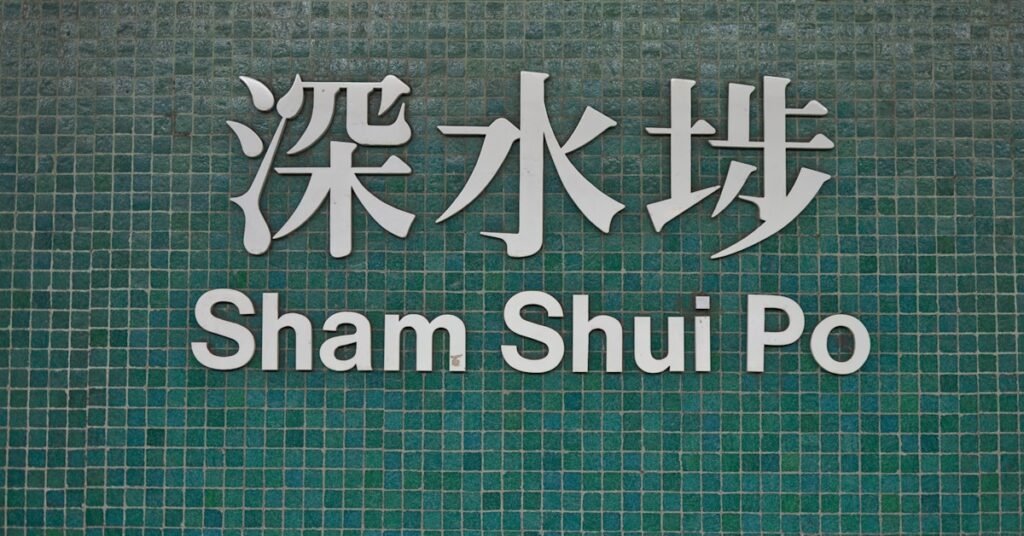 20+ Best SHRM Certification Courses on Udemy to Master BASK and Ace the Exam